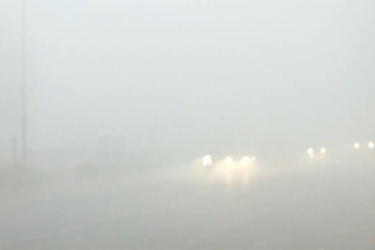 دہلی-این سی آر کی ہوا ہوئی زہریلی