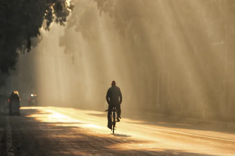 دہلی سے یوپی تک کوہرے کا قہر