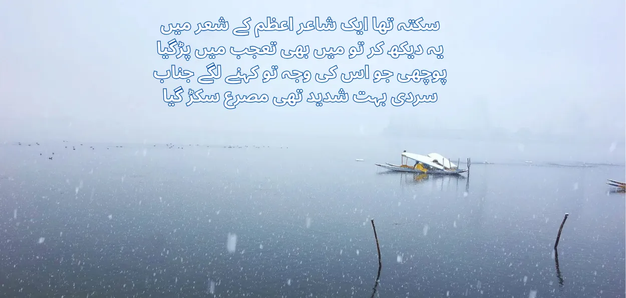  وہ سردیوں کی دھوپ کی طرح غروب ہوگیا