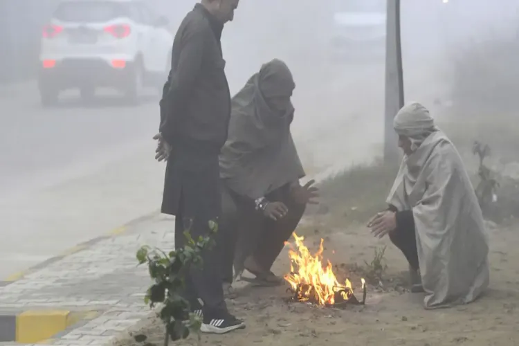 شمالی ہندوستان شدید سردی کی لہر
