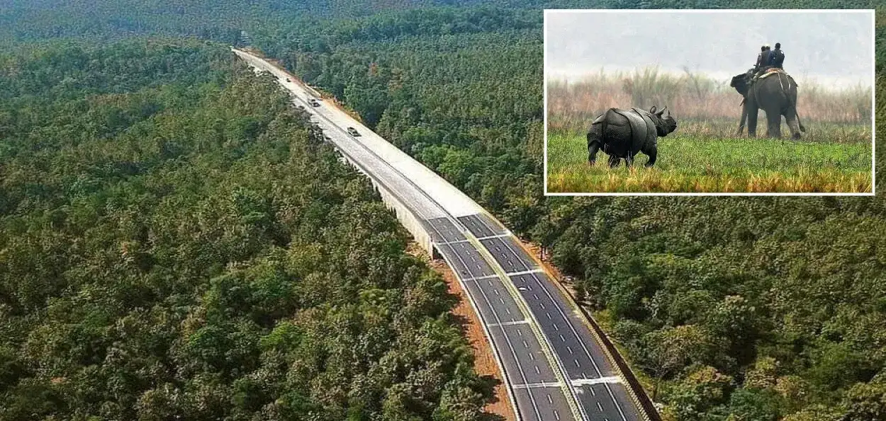 کازیرنگا کا بلند حیوانی کوریڈور ہندوستان میں جنگلی حیات کے تحفظ اور سلامتی کے ایک نئے دور کی علامت