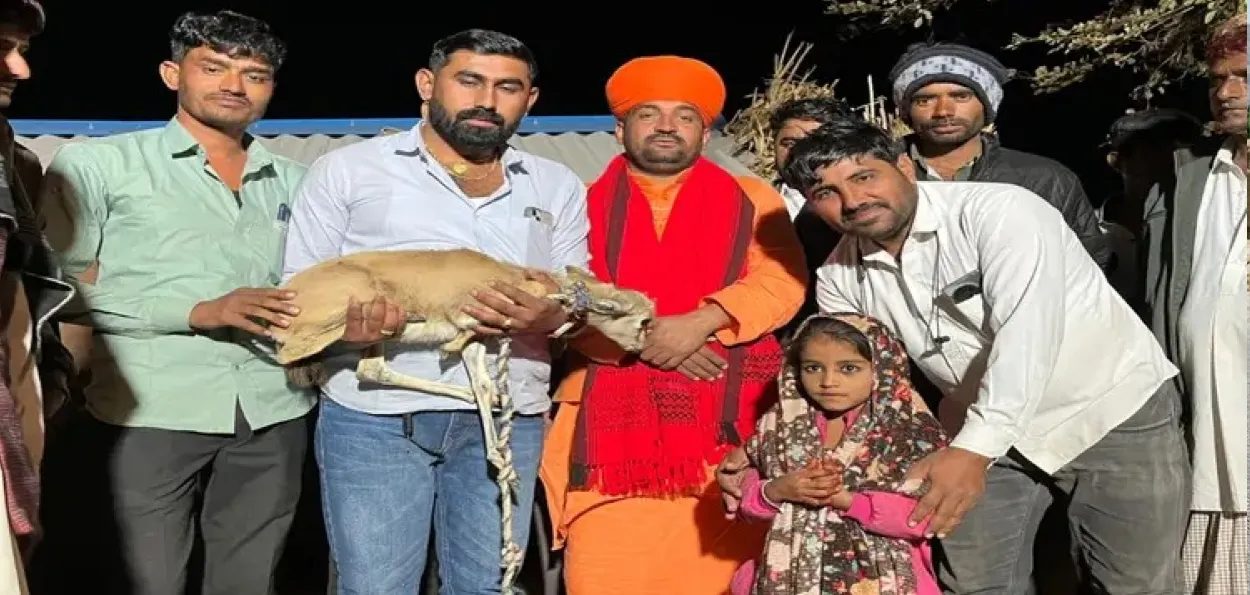 راجستھان :کتوں سے بچایا،گھر میں پرورش کی ،دودھ کے لیے گائے خریدی ۔ہرن کے بچے کے لیے عبدل بنا مسیحا