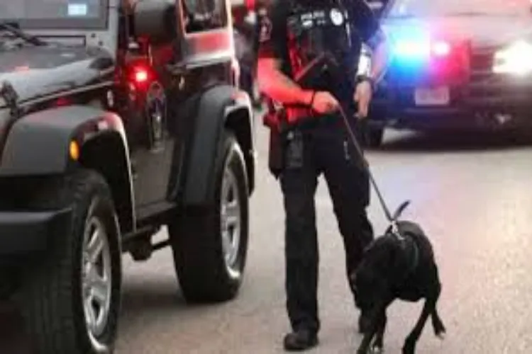 امریکہ:  فائرنگ  میں امریکی ہندوستانی سمیت دو افراد ہلاک