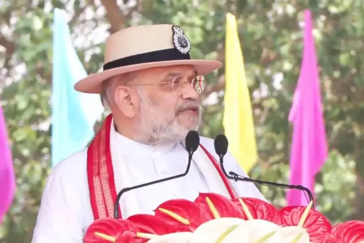 ہندوستان 31 مارچ تک نکسل ازم سے آزاد ہو جائے گا: امت شاہ