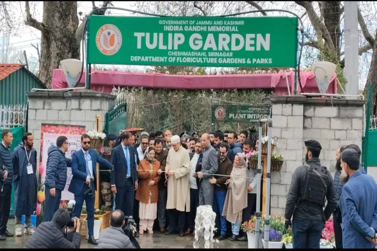 عمر عبداللہ نے  ٹیولپ گارڈن کی تصاویر شیئر كیں