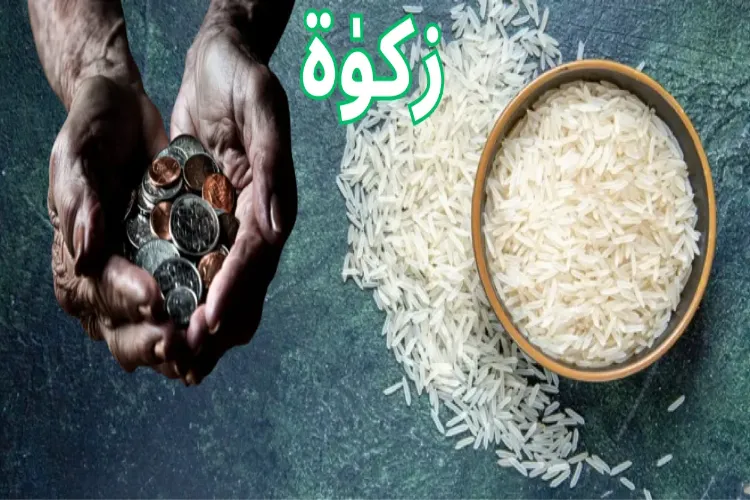 زکوٰۃ الفطر کی ادائیگی غذا یا رقم کی صورت میں۔ ایک معتدل فقہی جائزہ