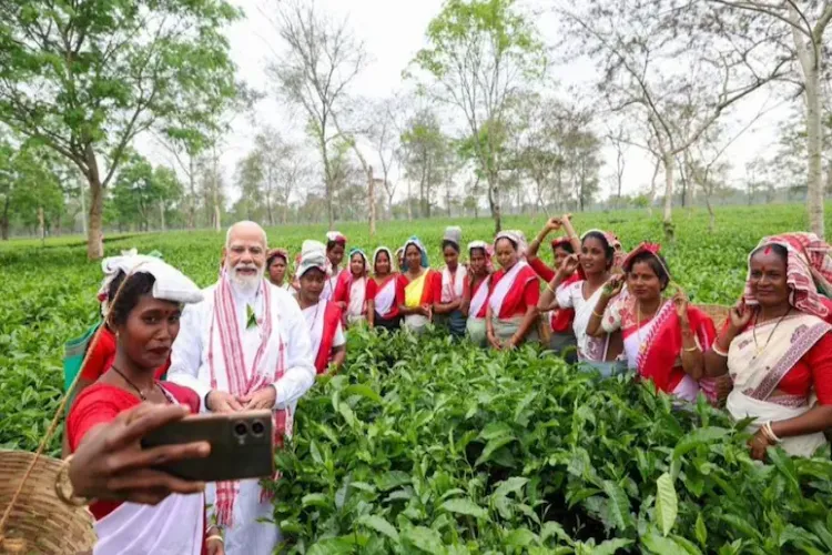آسام:  چائے کے باغ میں مودی کا انوکھا انداز