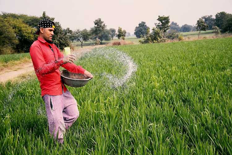 مغربی ایشیا تنازع: ملک کی زراعت پر اثر نہیں:سرکار