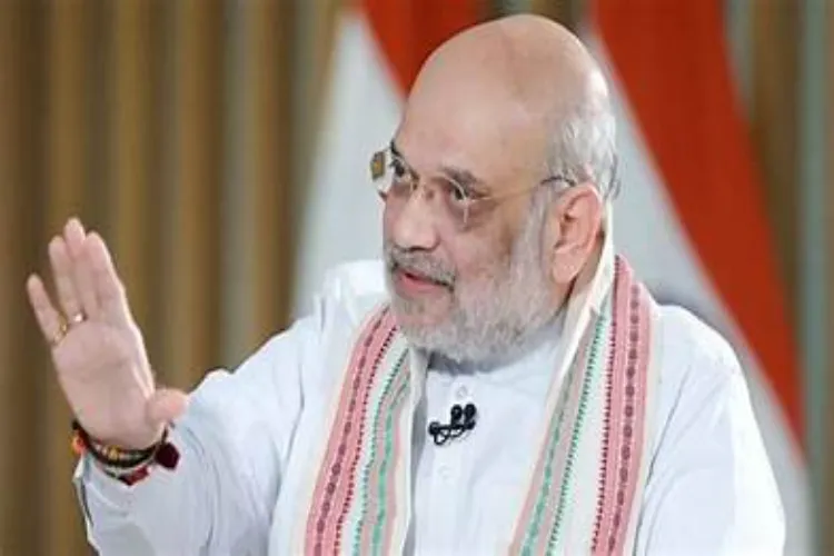 آسام انتخابی وعدہ: امیت شاہ کا اعلان، دراندازوں کی واپسی اور قبائلی خاندانوں کو گائے اور بھینس