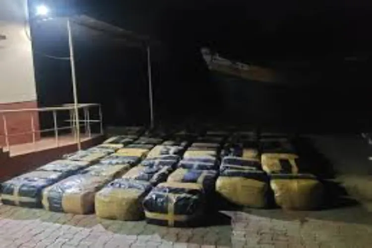 تمل ناڈو: سری لنکا اسمگل کیے گئے 50 لاکھ روپے مالیت کے بیڑی کے پتے ضبط