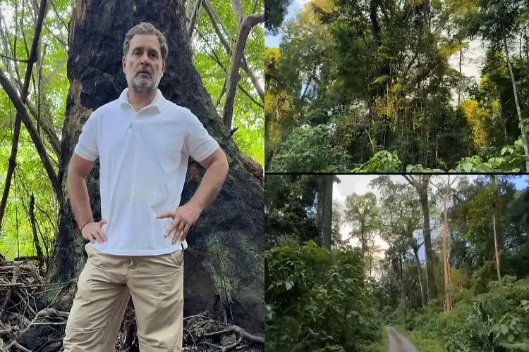 راہل کا دورہ انڈمان نکوبار:گھوٹالہ کا سنگین الزام