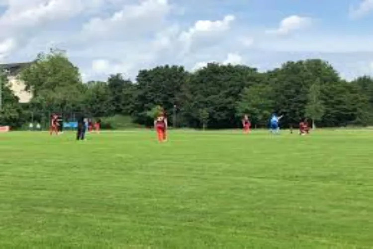 ظہیر خان اور عرفان پٹھان کی ای یو ٹی ٹوئنٹی بیلجیم لیگ کو عالمی کرکٹ کے فروغ کے لیے اہم قرار دینے کی حمایت