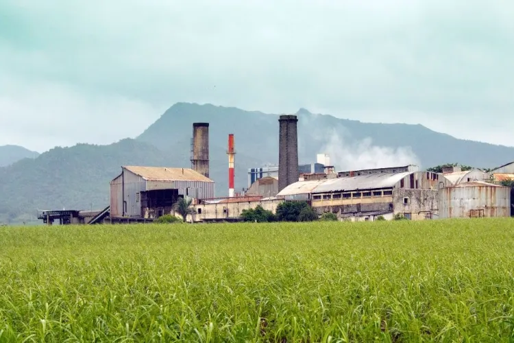 ہندوستان کی چینی کی پیداوار میں 7 فیصد اضافہ