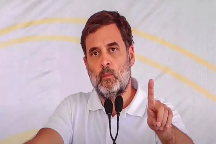 بی جے پی-ای سی کے 'چور بازار' میں، جتنی بڑی چوری، اتنا ہی بڑا انعام: راہل