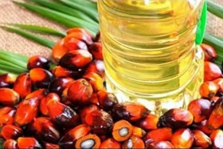 خوردنی تیل کی درآمدات میں 13 فیصد کااضافہ
