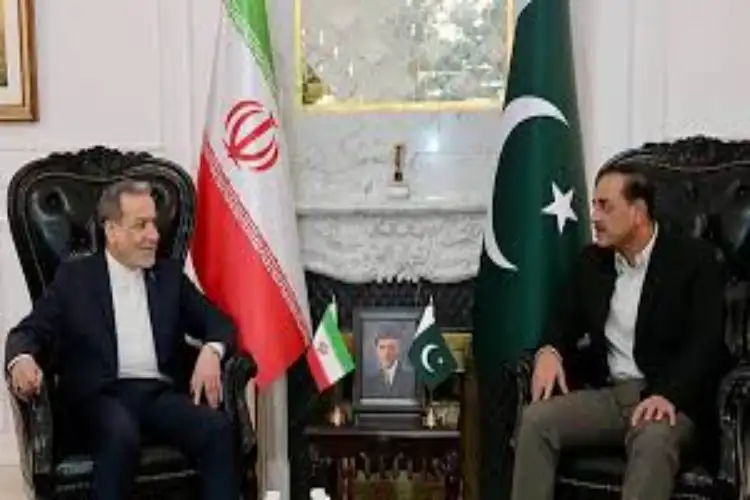 پاکستان کے وزیر داخلہ نے دوسری بار ایران کے وزیر خارجہ سے ملاقات کی