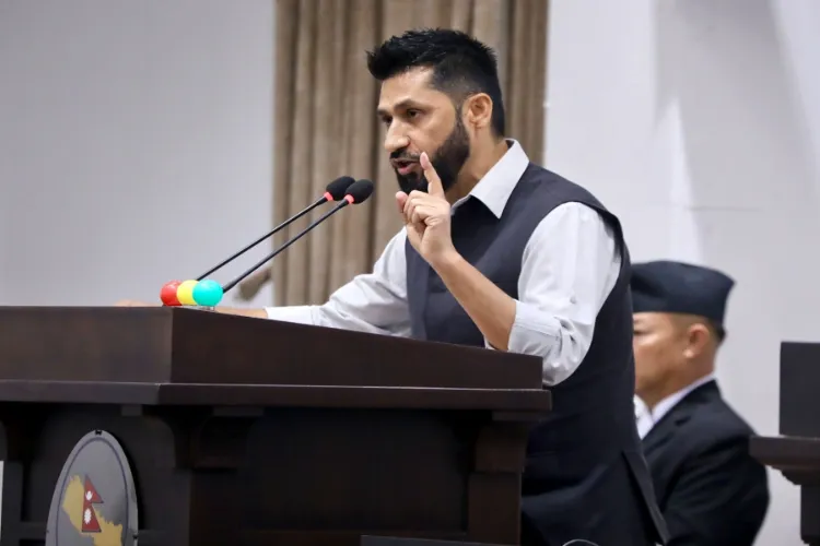 نیپال کے رابی لامیچھانے بی جے پی کے سربراہ نتن نبین سے بات چیت کی