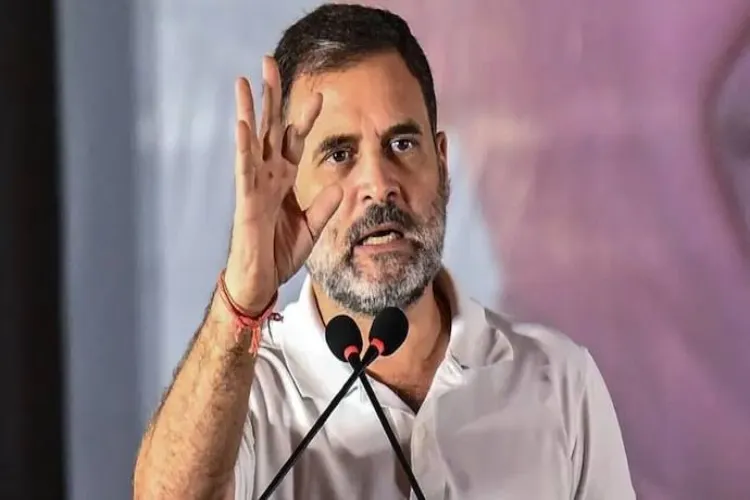 میں تمل ناڈو کی ترقی کے لیے اس کے ساتھ کھڑا ہوں: راہل گاندھی