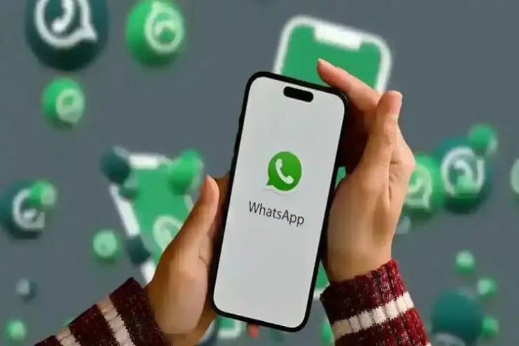 حکومت واٹس ایپ کے یوزر نیم فیچر کی جانچ کر رہی ہے