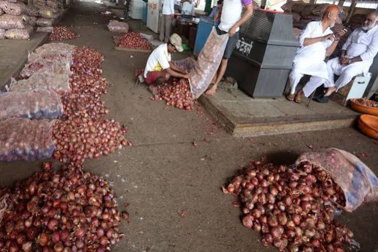 پیاز کسانوں کا امدادی اسکیموں میں توسیع کا مطالبہ
