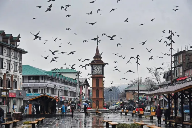 آرٹیکل 370 کی منسوخی کے سات سال: جموں و کشمیر اور مقبوضہ  کشمیر کی صورتحال میں نمایاں فرق