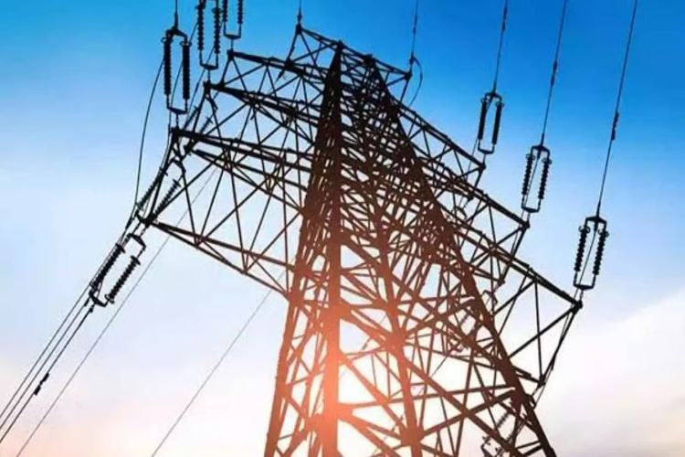 تمل ناڈو میں 8,000 فیلڈ اسسٹنٹ کی بھرتی کو منظوری
