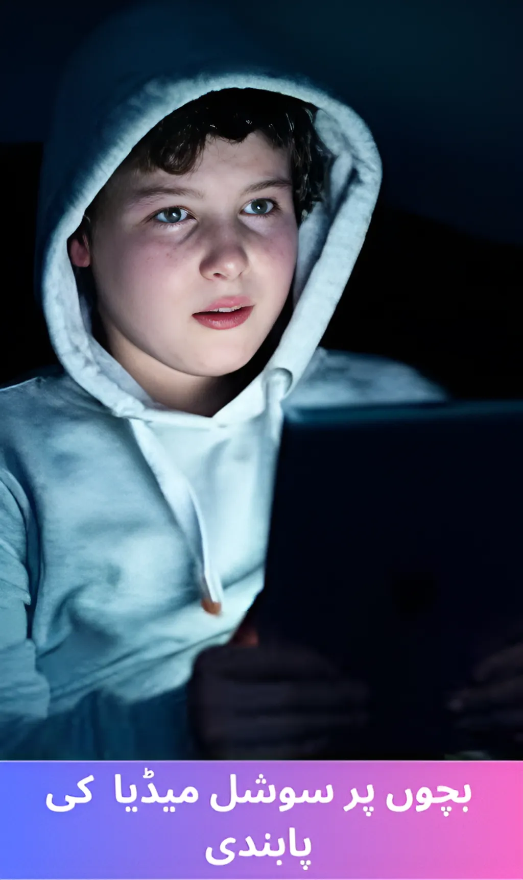 Social media ban on children